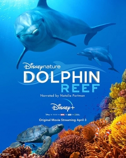 Dolphin Reef (2019) Official Image | AndyDay