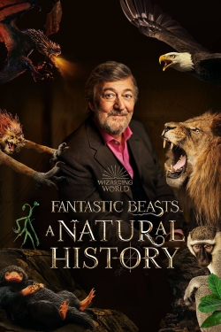 Fantastic Beasts: A Natural History (2022) Official Image | AndyDay
