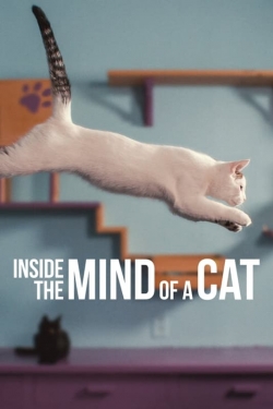 Inside the Mind of a Cat (2022) Official Image | AndyDay