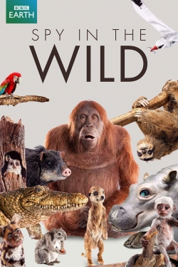 Spy in the Wild (2018) Official Image | AndyDay