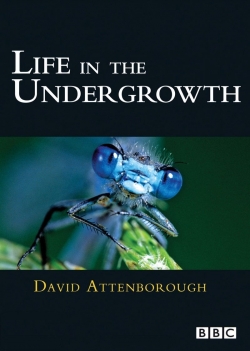 Life in the Undergrowth (2005) Official Image | AndyDay