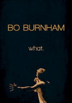 Bo Burnham: What. (2013) Official Image | AndyDay