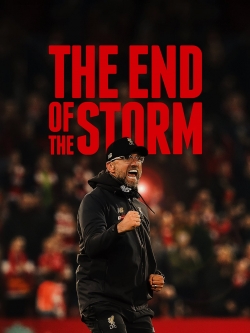 The End of the Storm (2020) Official Image | AndyDay