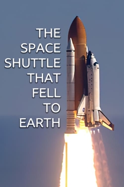 The Space Shuttle That Fell to Earth (2024) Official Image | AndyDay