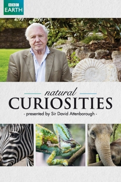 David Attenborough's Natural Curiosities (2013) Official Image | AndyDay