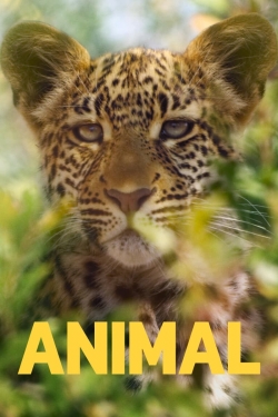 Animal (2021) Official Image | AndyDay