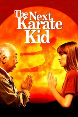 The Next Karate Kid (1994) Official Image | AndyDay