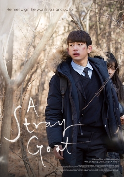 A Stray Goat (2017) Official Image | AndyDay