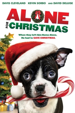 Alone for Christmas (2013) Official Image | AndyDay