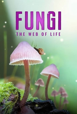 Fungi: The Web of Life (2023) Official Image | AndyDay