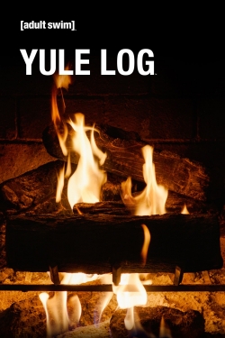 Adult Swim Yule Log (2022) Official Image | AndyDay