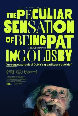 The Peculiar Sensation of Being Pat Ingoldsby (2022) Official Image | AndyDay