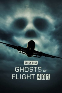 Ghosts of Flight 401 (2022) Official Image | AndyDay