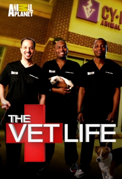 The Vet Life (2016) Official Image | AndyDay