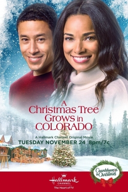 A Christmas Tree Grows in Colorado (2020) Official Image | AndyDay