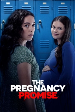 The Pregnancy Promise (2023) Official Image | AndyDay