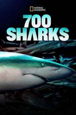 700 Sharks (2018) Official Image | AndyDay