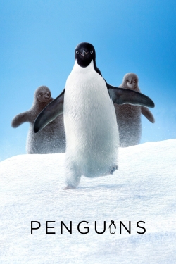 Penguins (2019) Official Image | AndyDay