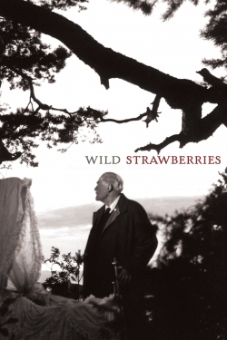 Wild Strawberries (1957) Official Image | AndyDay