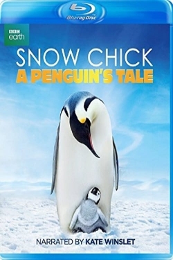 Snow Chick - A Penguin's Tale (2015) Official Image | AndyDay