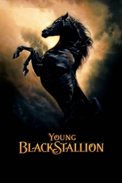 Young Black Stallion (2003) Official Image | AndyDay