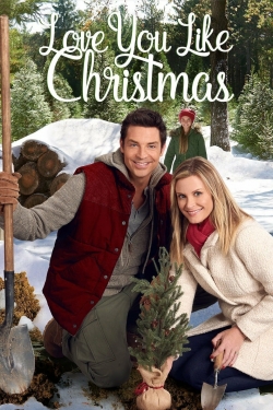 Love You Like Christmas (2016) Official Image | AndyDay