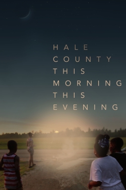 Hale County This Morning, This Evening (2018) Official Image | AndyDay