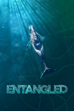 Entangled: The Race to Save Right Whales from Extinction (2020) Official Image | AndyDay