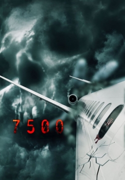 Flight 7500 (2014) Official Image | AndyDay