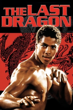 The Last Dragon (1985) Official Image | AndyDay