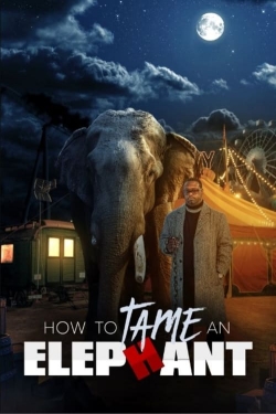 How To Tame An Elephant (2023) Official Image | AndyDay
