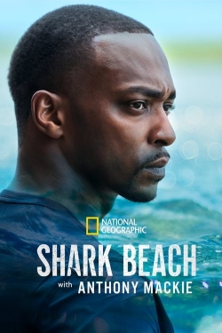 Shark Beach with Anthony Mackie (2024) Official Image | AndyDay