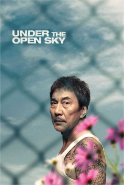Under the Open Sky (2021) Official Image | AndyDay