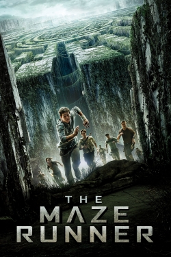 The Maze Runner (2014) Official Image | AndyDay