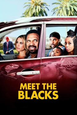 Meet the Blacks (2016) Official Image | AndyDay
