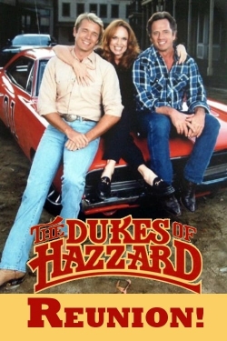 The Dukes of Hazzard: Reunion! (1997) Official Image | AndyDay