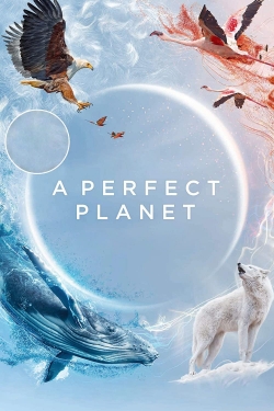 A Perfect Planet (2021) Official Image | AndyDay
