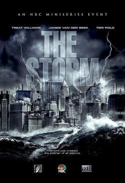 The Storm (2009) Official Image | AndyDay
