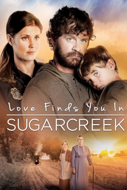 Love Finds You In Sugarcreek (2014) Official Image | AndyDay
