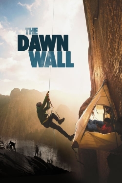 The Dawn Wall (2017) Official Image | AndyDay