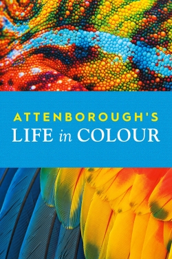 Attenborough's Life in Colour (2021) Official Image | AndyDay