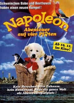 Napoleon (1995) Official Image | AndyDay