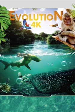 Evolution 4K (2018) Official Image | AndyDay