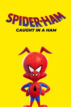 Spider-Ham: Caught in a Ham (2019) Official Image | AndyDay