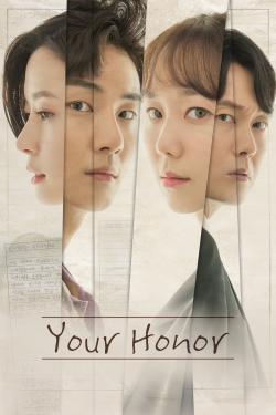 Your Honor (2018) Official Image | AndyDay