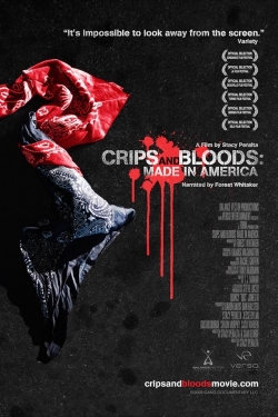 Crips and Bloods: Made in America (2008) Official Image | AndyDay