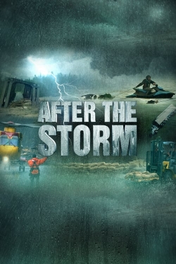 After the Storm (2022) Official Image | AndyDay