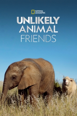 Unlikely Animal Friends (2012) Official Image | AndyDay