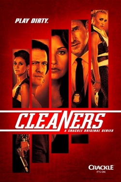 Cleaners (2013) Official Image | AndyDay