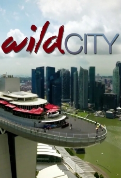 Wild City (2016) Official Image | AndyDay